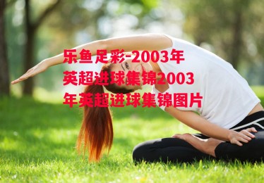 乐鱼足彩-2003年英超进球集锦2003年英超进球集锦图片